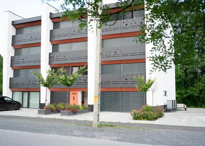 Oazis * זלקרוס